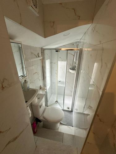 a bathroom with a shower and a toilet and a sink at Spacious Studio on Wood Lane in London