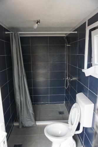 a bathroom with a toilet and a shower with a shower curtain at Glamping Krupac Lake in Blaca
