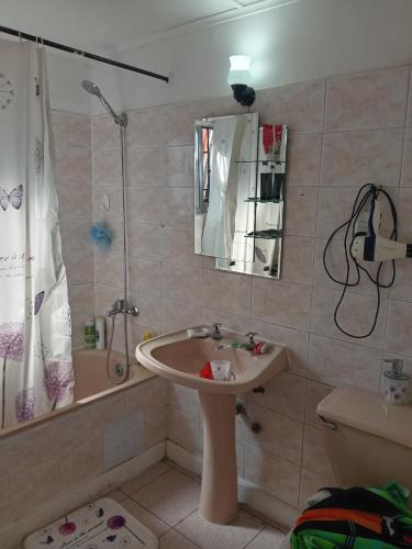 a bathroom with a sink and a shower at Casa in Santiago
