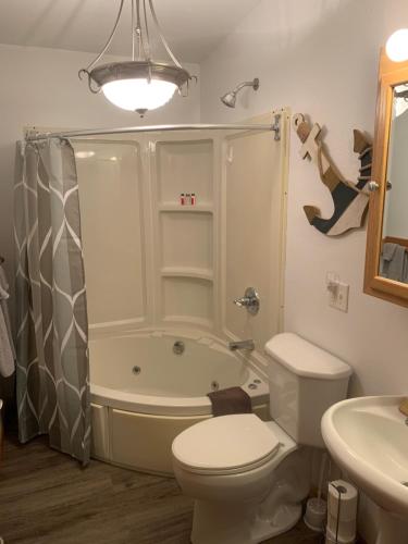 a bathroom with a tub and a toilet and a sink at Mississippi River Cabin in Bellevue