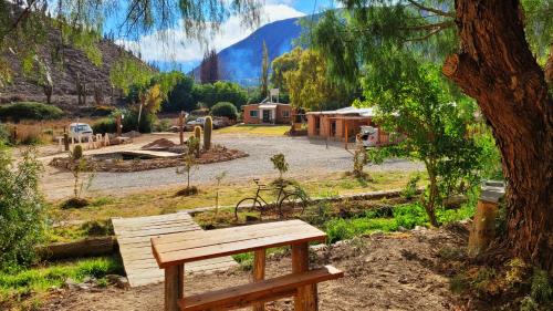 a wooden bench sitting in front of a tree at Al Pie del Pucara in Tilcara
