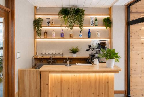 a kitchen with a counter with a sink and plants at nozawasnow in Nozawa Onsen