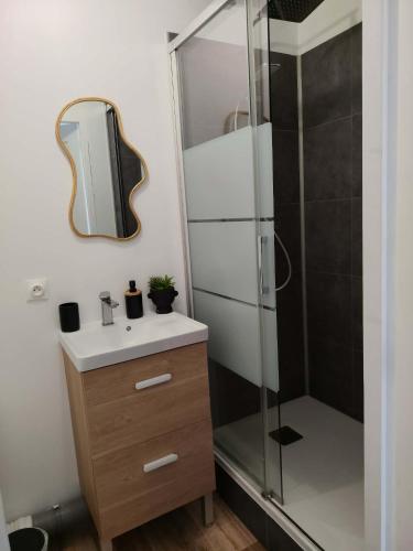a bathroom with a sink and a shower at Chambre jungle in Calais