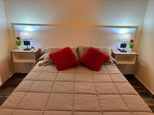 a large bed with two red pillows in a room at Don Miguel in Balcarce