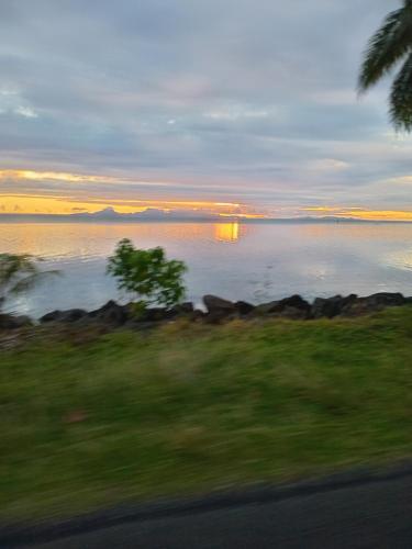 a view of the water from a train at TEMATAOAVEA Dortoir in Fare