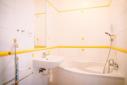a bathroom with a sink and a bath tub at Hotel Růžové údolí in Pivonín