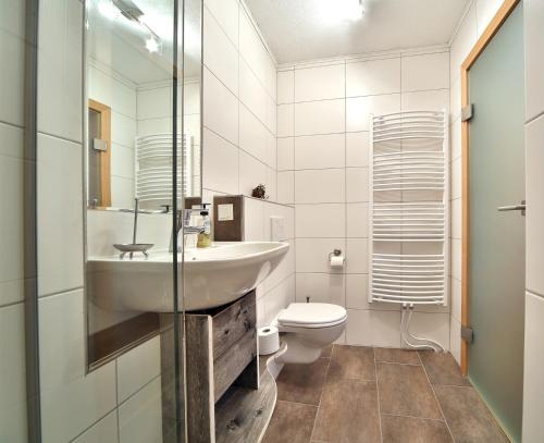 a bathroom with a sink and a toilet at Appartement Haus Tanja in Haus im Ennstal