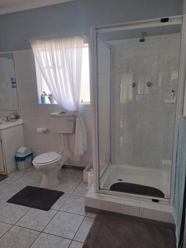 a bathroom with a shower and a toilet at Voni's Cottage in Vredendal