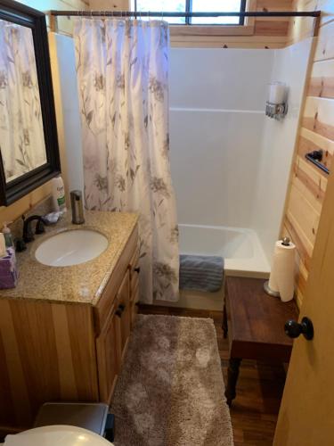 a bathroom with a sink and a shower at Beautiful Sierra Mountain Cabin in Springville