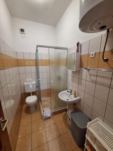 a bathroom with a shower and a toilet and a sink at Aranymoha Vendégház in Szőce