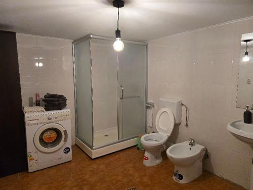 a bathroom with a shower and a toilet and a sink at Casa tradițională Eridav in Arcani