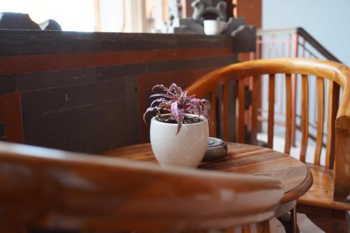 a small potted plant sitting on top of a wooden table at Tegeg's Homestay in Keramas