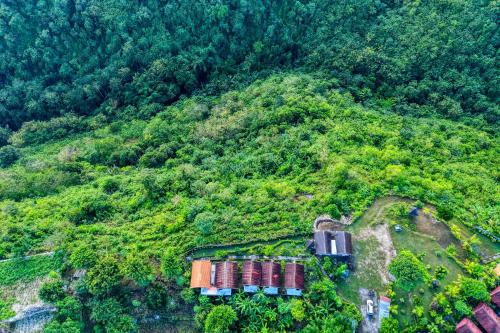 Ayu Hill Bungalows