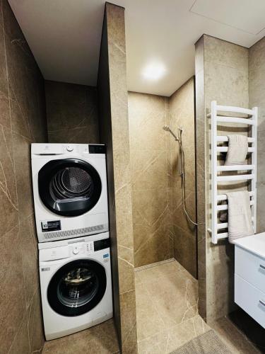 a washing machine in a bathroom with a shower at Apartment in the city center near park and river 5 in Marijampolė