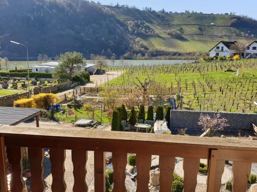 a view of a vineyard from the balcony of a house at Fewo-Minheim in Minheim