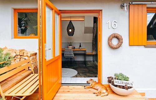 an orange cat laying on the porch of a house at Weinloft III by Weinlofts in Eisenberg an der Pinka