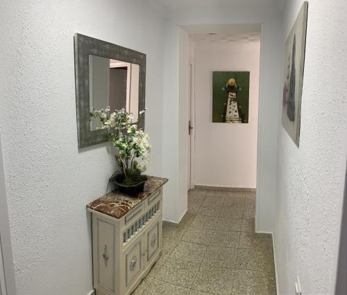 Delightful 3 bedroom Apartment with Terrace ESP1EV