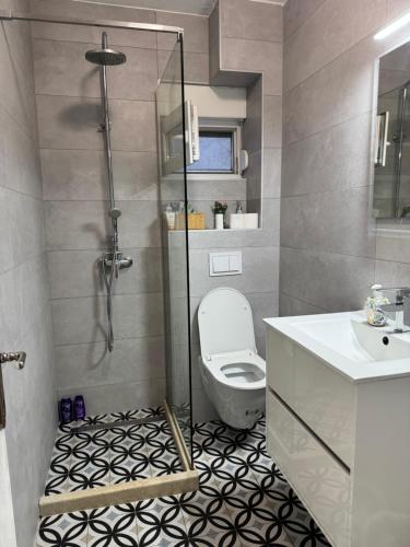 a bathroom with a shower and a toilet and a sink at Apartman Ana in Neum
