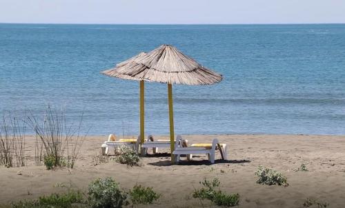 a table and chairs under an umbrella on the beach at Vanilla House in Ulcinj