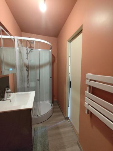a bathroom with a shower and a sink at Authentique Maison de Pêcheur Le Refuge in Le Tréport