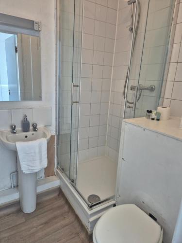 a bathroom with a shower and a toilet and a sink at The Old Victoria in Penrith