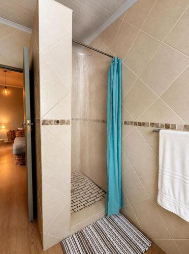 a walk in shower with a blue curtain in a bathroom at At the Indi in Struisbaai