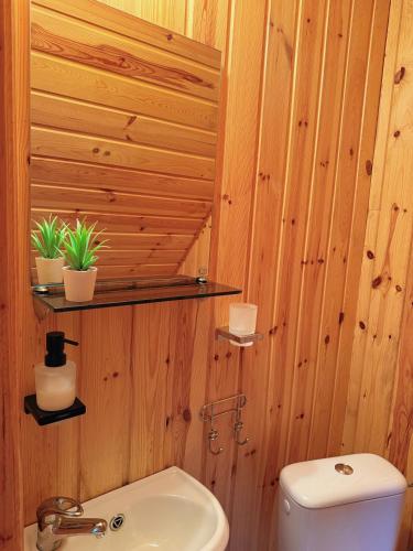 a bathroom with wooden walls and a toilet and a sink at Diby Kämping saunamaja numbritoad in Diibi