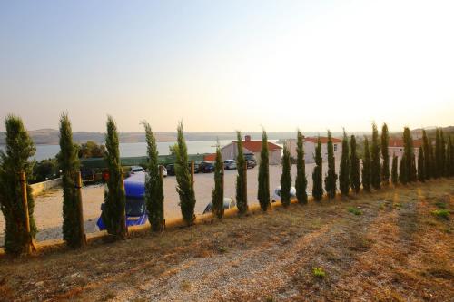 a row of trees in front of a road at Hotel Lucija in Posedarje