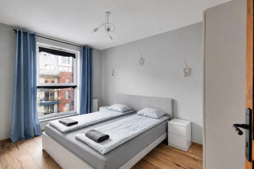 Spacious Apartment Angielska Grobla Oldtown