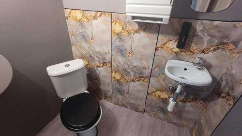 a bathroom with a toilet and a sink at Ubytovaní U Dvora in Bohumín