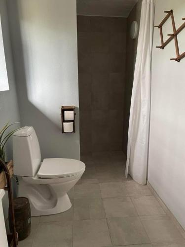 a bathroom with a white toilet and a shower at Holmens Guesthouse in Lemming
