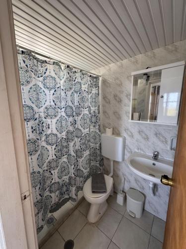 a small bathroom with a toilet and a sink at Nikos Apartments in Lefkos Karpathou