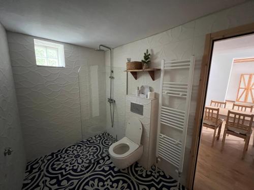 a bathroom with a toilet and a shower in it at Nevoliani stone house in Florina