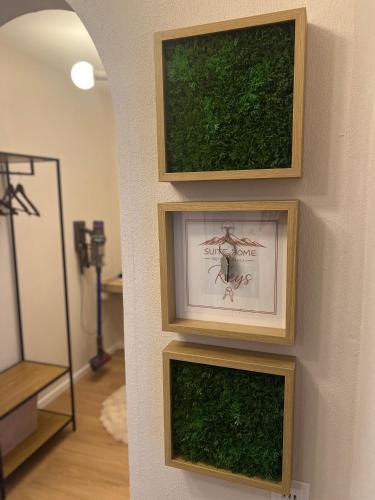 three framed pictures on a wall with grass at Suite Home Reichenhall in Bad Reichenhall