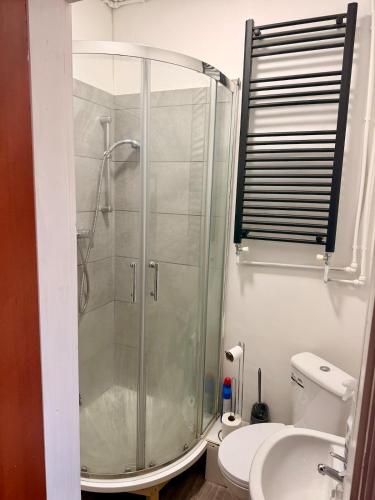 a bathroom with a shower with a toilet and a sink at Colne Hideaway in Colne