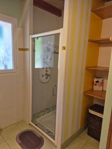 a shower with a glass door in a bathroom at Le gite du gueurlet in Boresse-et-Martron