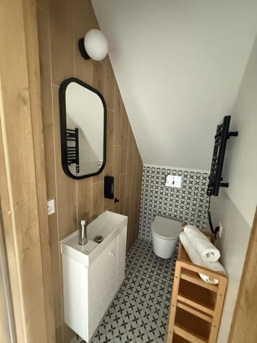 a small bathroom with a sink and a mirror at Winnica Osada Moszczonne in Moszczonne