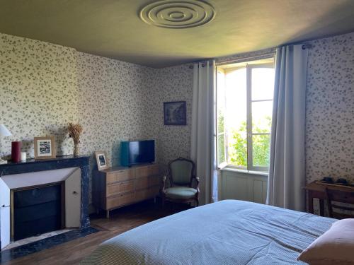 a bedroom with a bed and a fireplace and a window at Les Chambres du 4 in Saint-Benoît-du-Sault