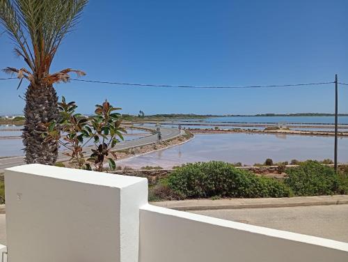 a white fence in front of a beach with a palm tree at Apartamentos Eugenio by Formentera Passport in La Savina