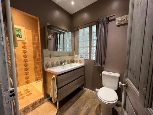 a bathroom with a toilet and a sink and a shower at La Vie en Le Reve kamers, chambre d'hôtes in Cassaniouze