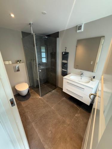 a bathroom with a shower and a toilet and a sink at Krummeled Rooms & Shelter by the forest in Hasle