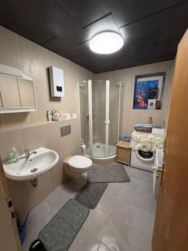 a bathroom with a sink and a toilet and a shower at Ferienwohnung Adenau in Adenau