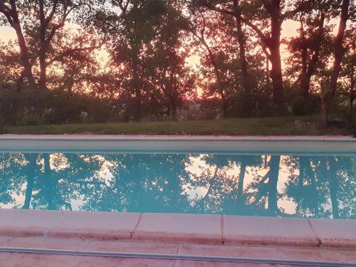 a reflection of trees in a swimming pool at Las Irondas in Moissac