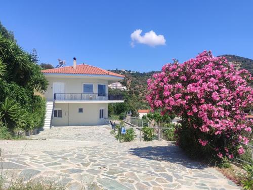 a house with a pink flowering bush in front of it at Aegean Beachfront Apartments in Petriaí