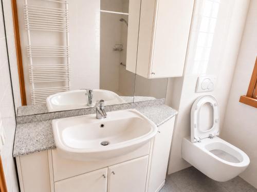 a white bathroom with a sink and a toilet at Charming House Among the Prosecco Hills & Olive Groves in San Pietro di Feletto
