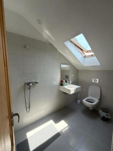 a bathroom with a toilet and a sink and a window at Cazare Turnisor in Sibiu