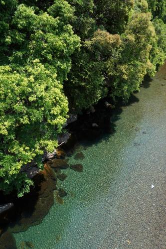 an overhead view of a forest of trees next to a road at SEN RETREAT HONGU - Kumano Kodo Gateway in Tanabe