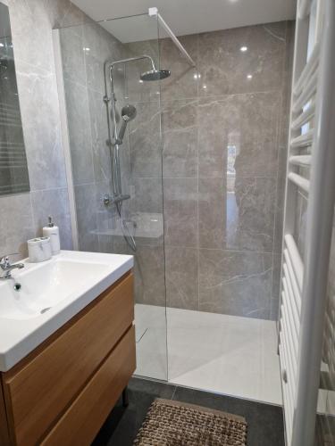 a bathroom with a shower and a sink at Chalet in Berkhout, close to the beach in Berkhout