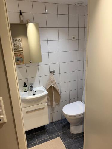 a small bathroom with a toilet and a sink at Studio apartment in Sogndal