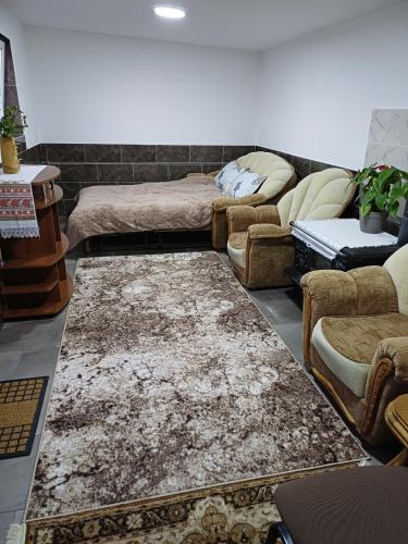a living room with couches and a rug at Arca lui Roman in Furceni